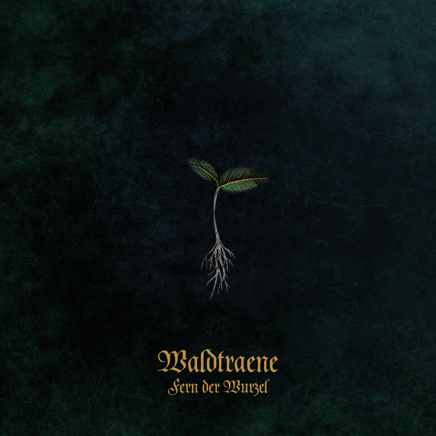 WALDTRAENE - Fern der Wurzel (2025 Digital Version)