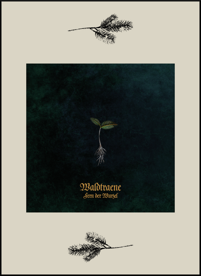 WALDTRAENE - Fern der Wurzel (2025)
